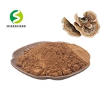 Ekstrakt z grzyba z ogona indyka