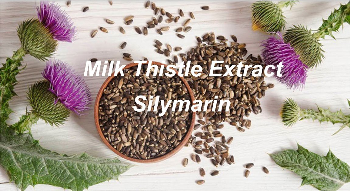 product-1150-628 silymarin powder 5