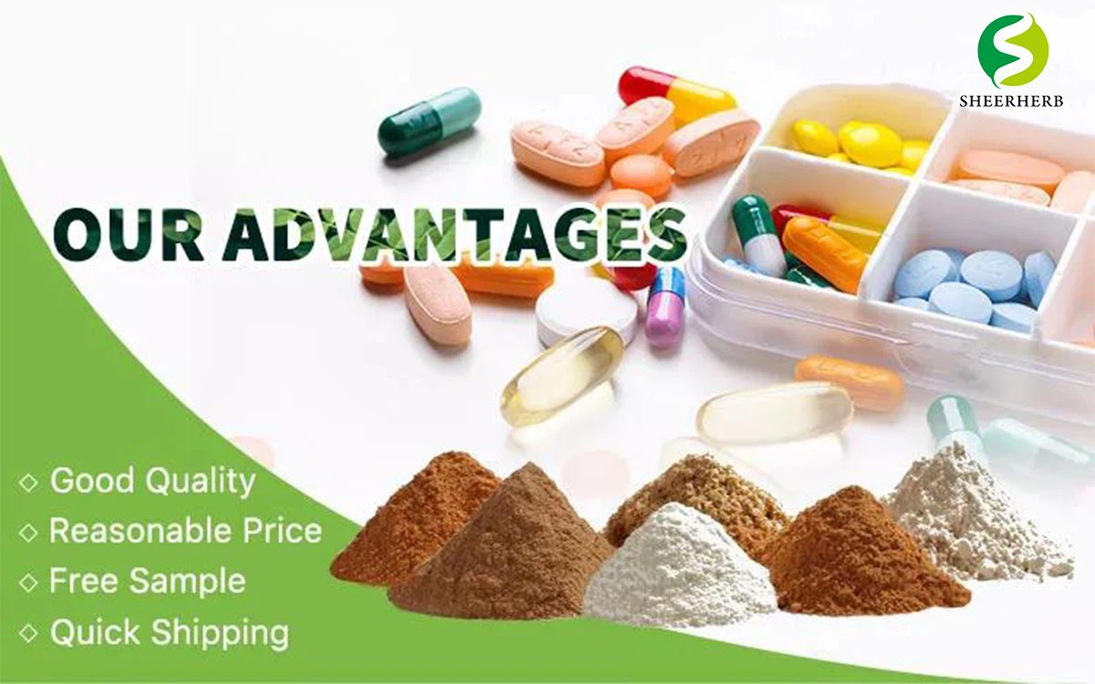 product-1200-750 olive leaf extract powder 05
