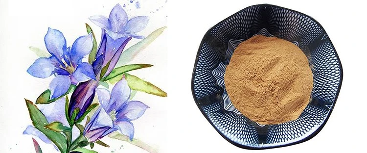 gentiopicroside powder 2