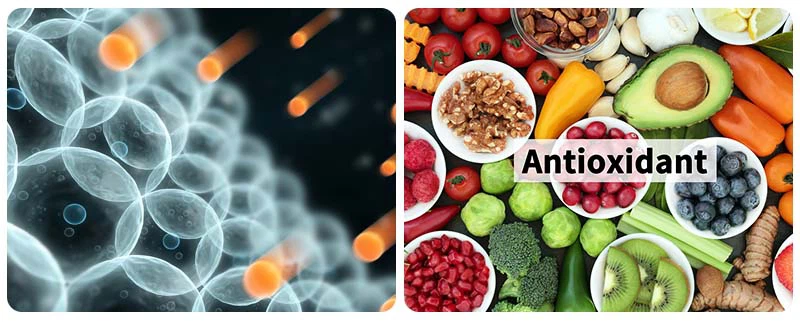 Phytosphingosine-4