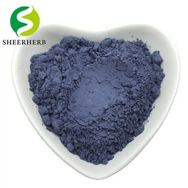 Proszek z kwiatu grochu motylkowego