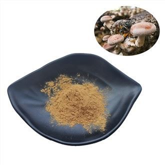 Ekstrakt z grzybów shiitake