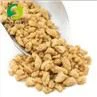 Textured Soy Protein