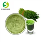 Proszek z trawy pszenicznej