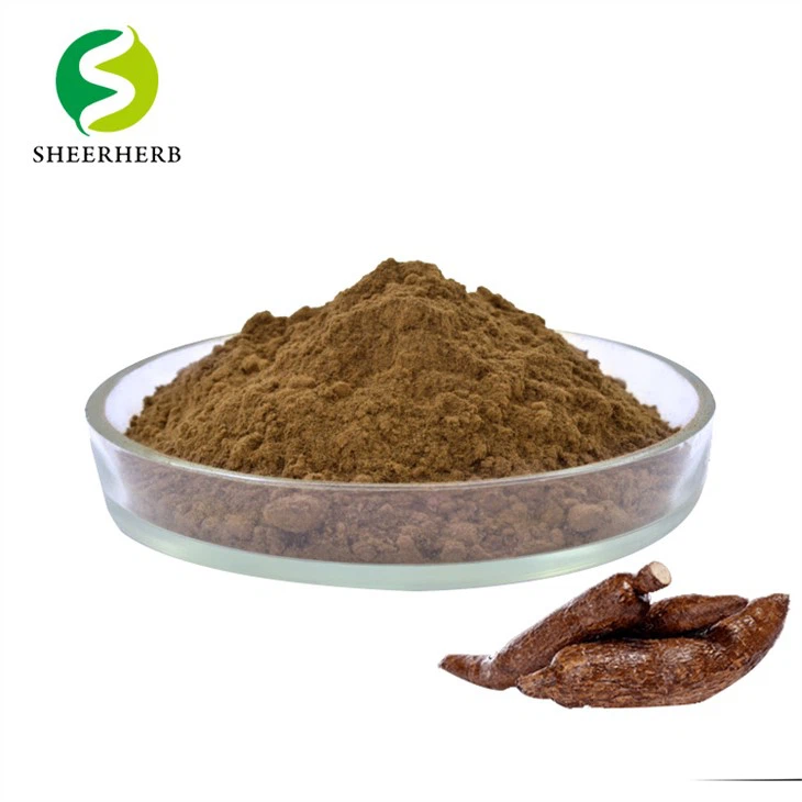 Ekstrakt z Cistanche w proszku